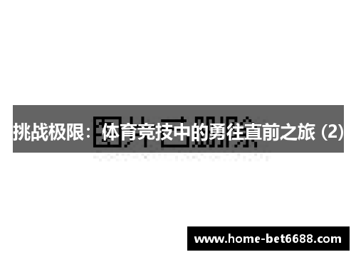 挑战极限：体育竞技中的勇往直前之旅 (2)